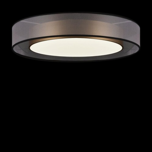 Потолочный светодиодный светильник Freya Zoticus FR6005CL-L48G