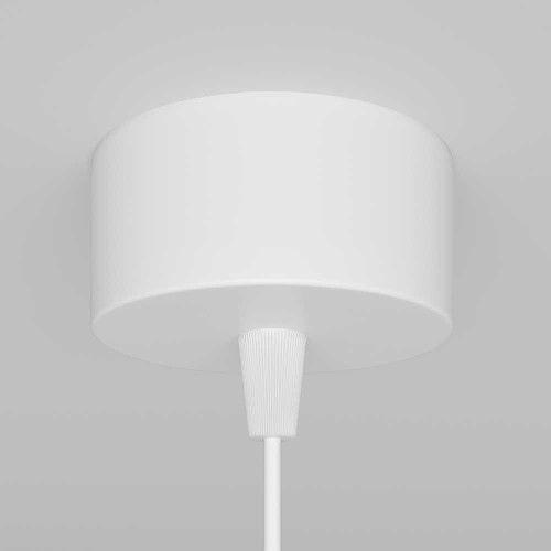 Подвесной светильник Maytoni Technical Focus P075PL-01W