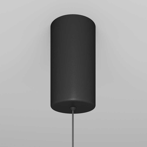 Подвесной светильник Maytoni Ray P022PL-L10B