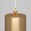 Подвесной светильник Maytoni Technical Focus P075PL-01MG