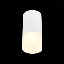 Потолочный светильник ST Luce ST100.512.01