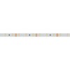 Светодиодная лента Arlight 7,2W/m 60LED/m 2835SMD дневной белый 5M 015697(2)