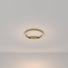 Потолочный светильник Maytoni Rim MOD058CL-L25BS3K