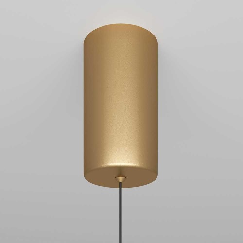 Подвесной светильник Maytoni Ray P022PL-L20G3K