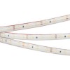 Светодиодная влагозащищенная лента Arlight 4,8W/m 60LED/m 2835SMD дневной белый 5M 021100(2)