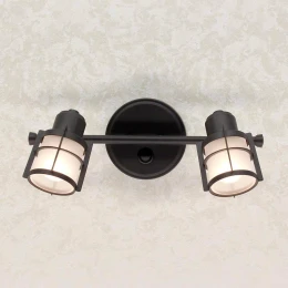 Спот Citilux Реймс CL563521